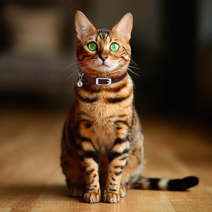 OOPSDOGGY Rolled Leather Cat Collar with Bell, Reflective Kitten Collars with Buckle Include Safety Elastic Strap - Adjustable Small Pet Collars for Boy Girl Cats (Burgundy)