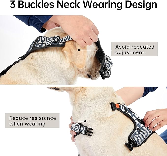 IVY&LANE No Pull Dog Harness with Leash Set, Reflective No Choke Pet Vest,Adjustable Oxford Dog Vest Harness with Easy Control Handle for Large Dogs (Vintage Blue,XL)