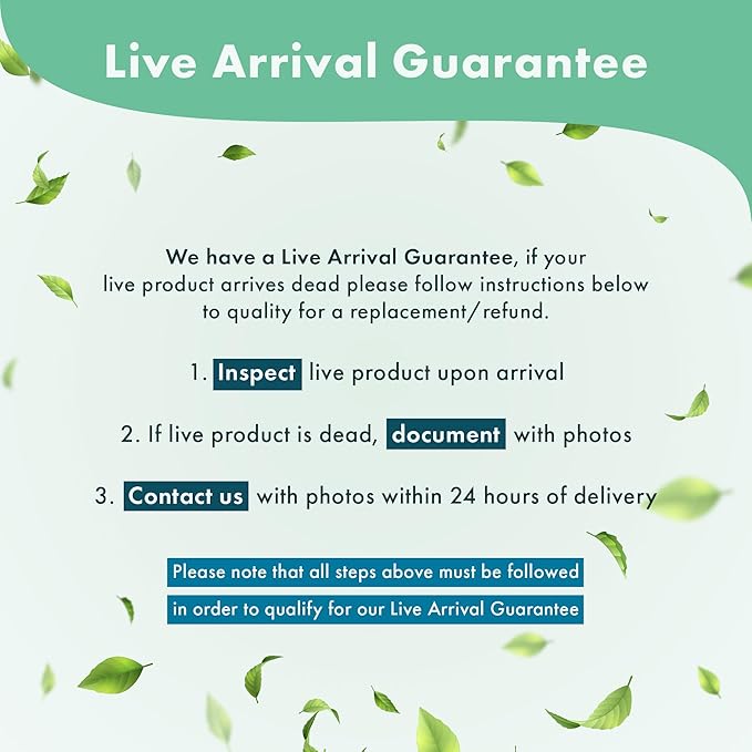 Anubias Live Aquarium Plants - Potted Freshwater Plant for Fish Tanks, Terrariums - Beginner Friendly Low Light (Barteri, Mother Plant)