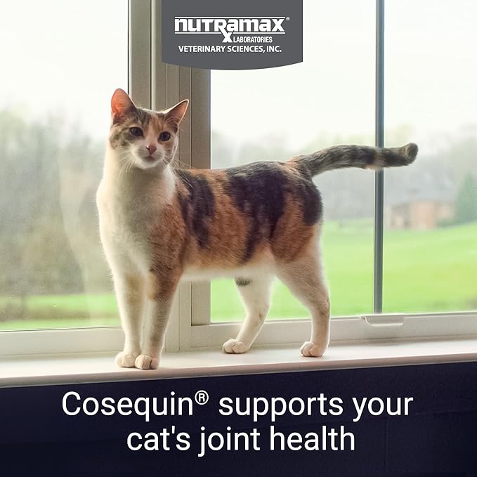 Nutramax Laboratories Cosequin 30 ct Sprinkle Capsules for Cats, 30-count