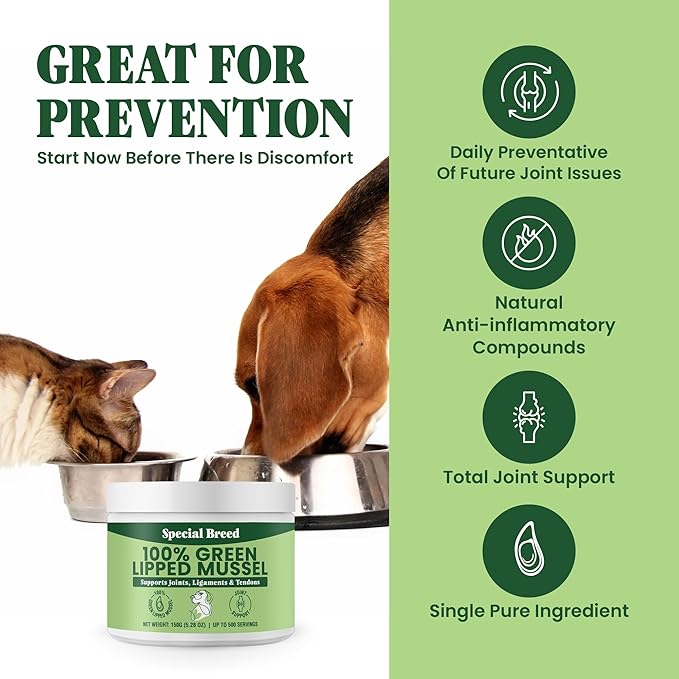 Green Lipped Mussel Powder for Dogs & Cats - 100% New Zealand Green Lipped Mussels - Natural Hip & Joint Supplement for Joints, Tendons, Ligaments, Muscles - 150 Grams - Up to 500 Servings