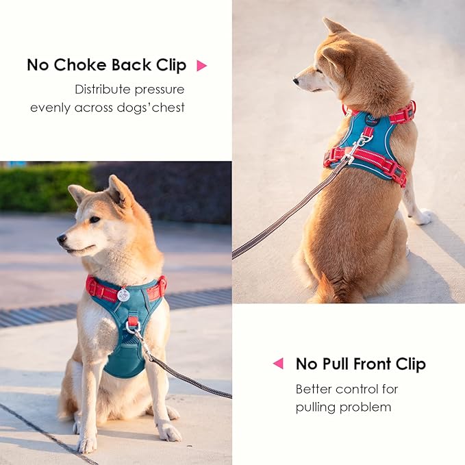 PHOEPET No Pull Dog Harness, Unique Colors Reflective Adjustable Dog Vest, with Soft Training Handle Metal Clips for Small Medium Large Dogs (Teal Base & Red Straps,XL)