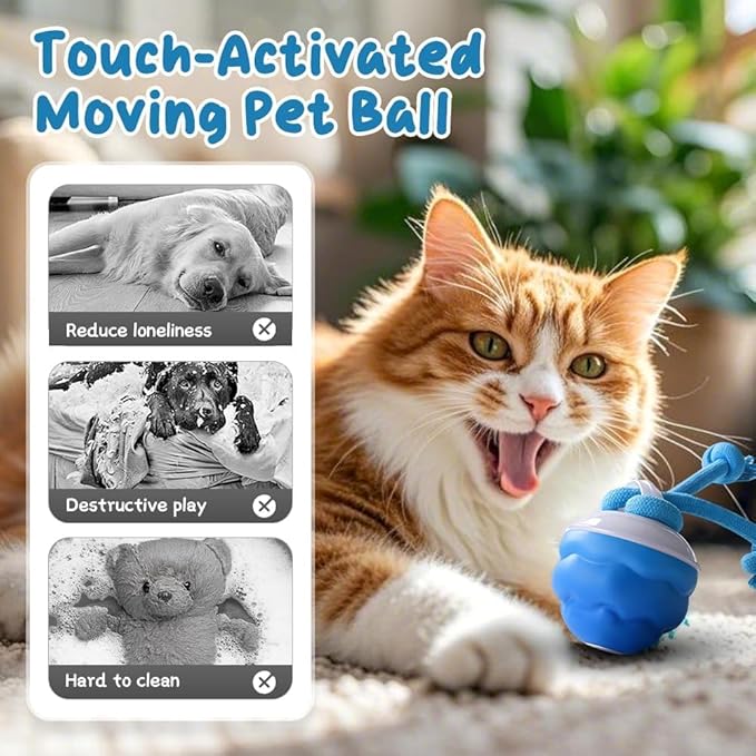2026 New Interactive Pet Toy Ball, Smart Interactive Ball for Cats & Dogs, Electric Rolling Pet Toy Ball, Rechargeable Interactive Cat Toys for Bored Indoor Cats Kittens to Keep Busy (Orange)