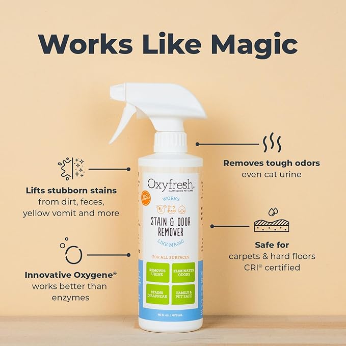 Oxyfresh Advanced Pet Stain Remover & Urine Odor Eliminator – Fast Acting Pet Odor Eliminator for All Surfaces - Best Way to Remove Stains - Dog & Cat Urine Neutralizer