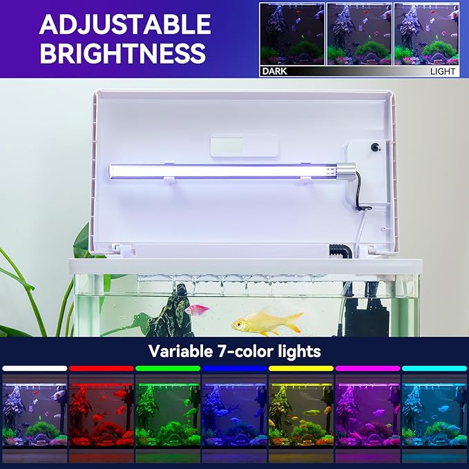 Beginner Betta Fish Tank Aquarium kit Intelligent Timed Shutdown, Seven LED Lights, Adjustable Brightness, High-Transparency Glass, Efficient Filtration Gallon (10 Gallon)