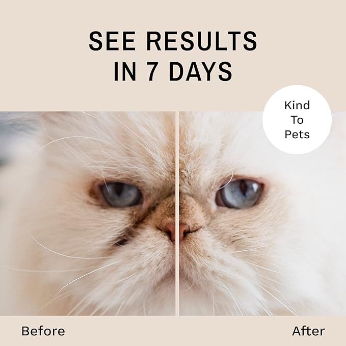 Eye Envy Tear Stain Remover Powder for Dogs and Cats. 100% Natural, Safe. Apply Around Eyes. Absorbs and Repels Tears. Keeps Area Dry. Treats The Cause of Staining. Made in The USA (1.4 oz)