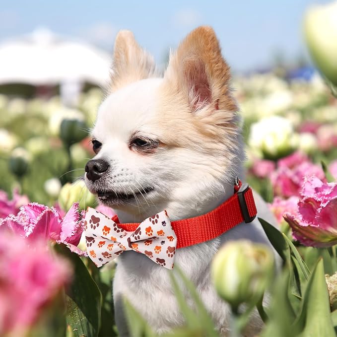 Hillban 50 Pieces Paw Print Dog Collar Bow Ties Colorful Paw Print Dog Collar Accessories Bow Ties Attachment with Elastic Bands Detachable Charms for Pets Collar Accessories Daily Costume