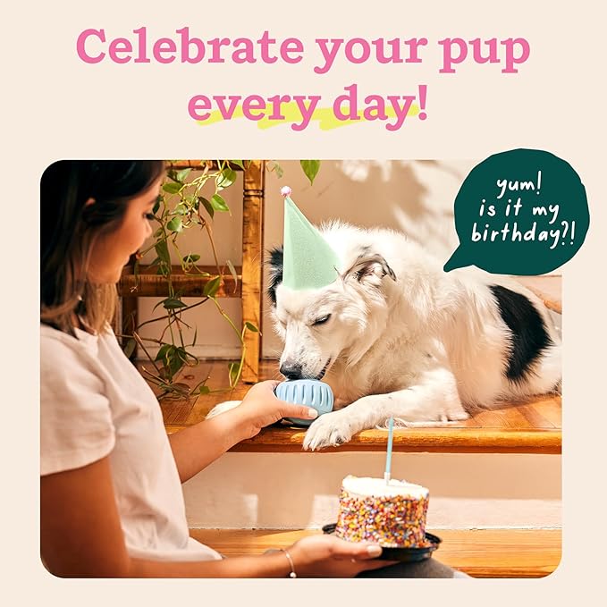 WOOF Party Pupsicle - Long-Lasting Interactive Dog Toys for Boredom - Low-Mess Design - Birthday Gifts for Dogs - XL Dog Toys - Buddy Blue