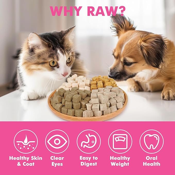 Freeze Dried Cats & Dogs Raw Treats, All Natural Single Ingredient Chicken Liver, High Protein Healthy Pet Training Treats or Food Topper, 6 oz
