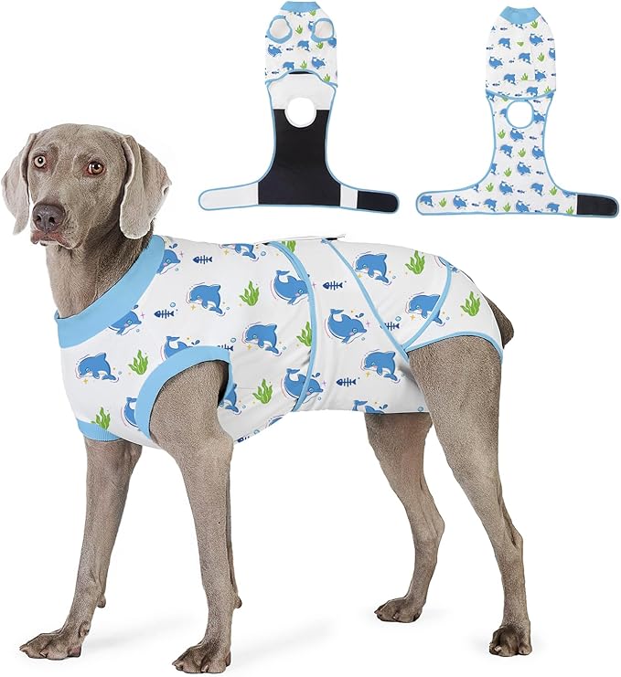 Recovery Suit for Dogs After Surgery, Professional Dog Surgical Suit for Female Spay, Male Neuter, E-Collar & Cone Alternative Dog Onesie for Abdominal Wounds Skin Disease, Blue, S