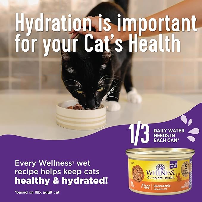 Wellness Complete Health Pate Adult Wet Cat Food, Natural, Protein-Rich, Grain Free, 3 Ounce, 12 Pack, (Chicken & Turkey Favorites Variety Pack)