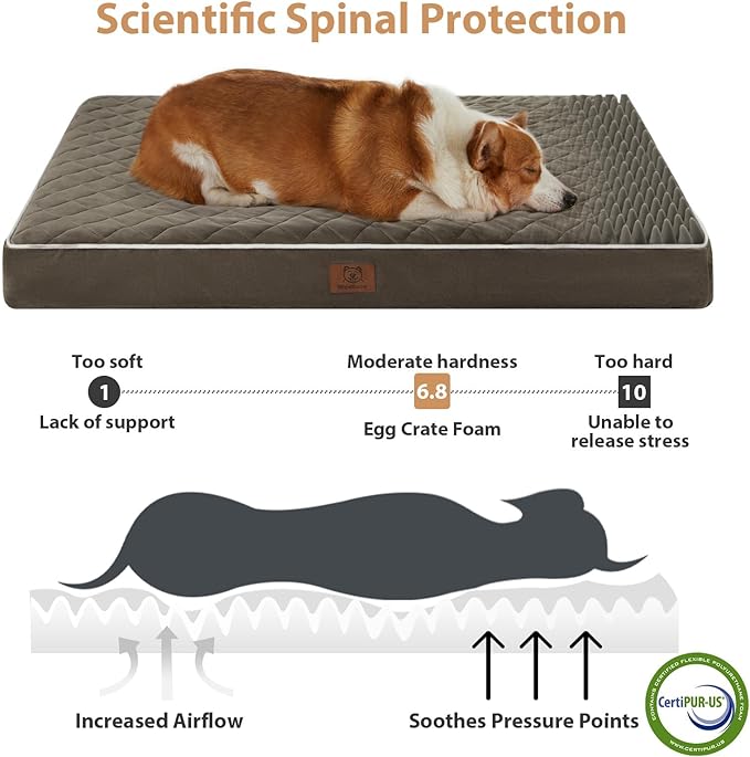 WNPETHOME Orthopedic XL Dog Bed for Crate, Waterproof Extra Large Dogs Bed with Removable Washable Cover, Multi-Needle Quilting Dogs Crate Bed