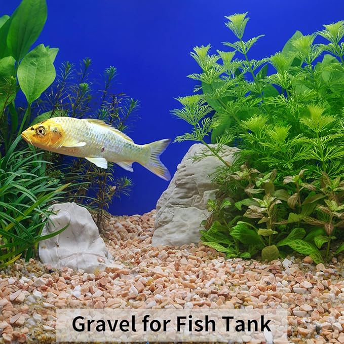 5lbs Natural Pea Gravel Pebbles, 3/8 Inch Decorative Succulent Rocks Pebbles for Indoor Plants. River Rocks for Vase and Outdoor Garden Landscaping Rocks