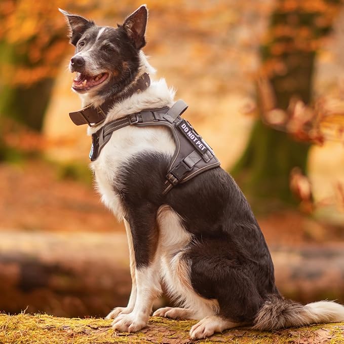 rabbitgoo Dog Harness Small Sized No Pull, Tactical Service Pet Vest with Molle and Control Handle, Adjustable and Reflective Military Harness for Easy Walking and Training, Brown camo, S