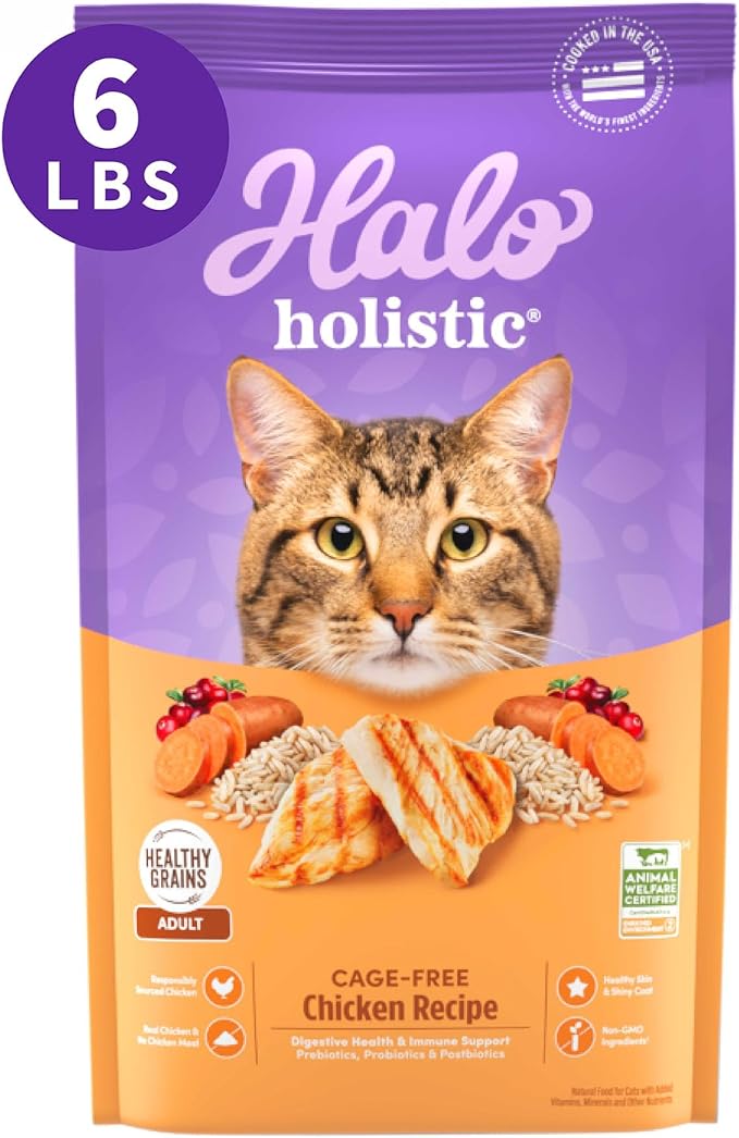 Halo Holistic Cage Free Chicken Cat Food, Healthy Grains Dry Cat Food, Complete Digestive Health, Kibble for Adult Cats, 6 lb Bag
