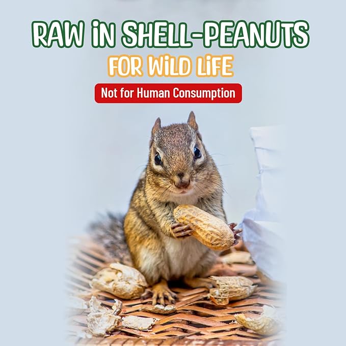 Premium Quality- 25 Pound Raw Peanuts in Shell – All-Natural Food for Squirrels, Deer, Birds, and Other Wildlife Animals – Bulk Wholesale Bag – Grown in The USA for Healthy Nutrition
