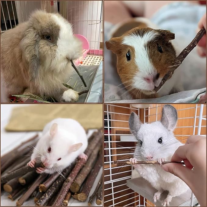 Coconut Hamster Hideout Hamster House Gerbil Cage for Small Animals with a Bundle of Apple Sticks a Carrot (Brown)