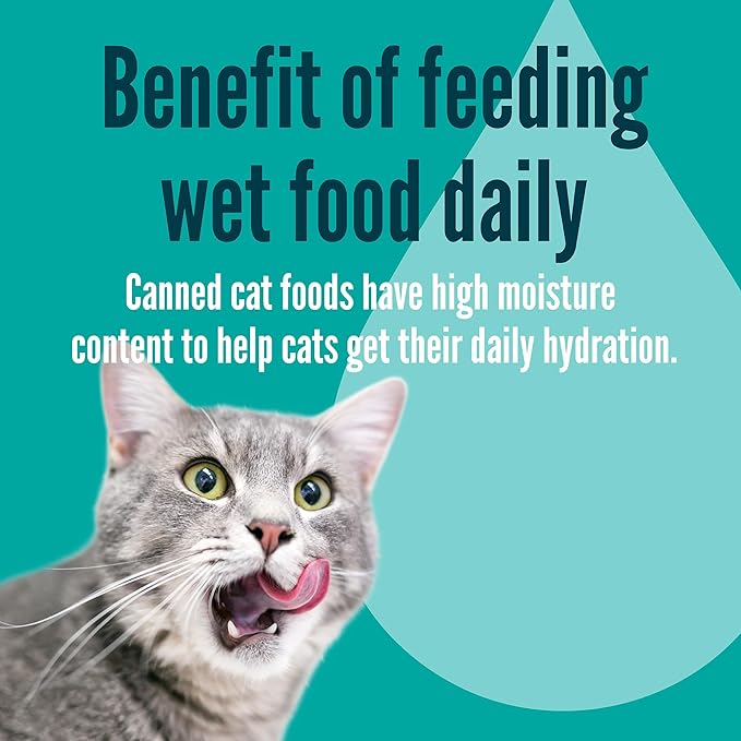 A Strong Heart Canned Wet Cat Food, Beef Dinner Paté - 3 oz Cans (Pack of 24), Made in The USA with Real Beef