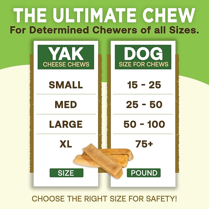 EcoKind Premium Gold Yak Cheese Himalayan Dog Chews, Dog Treats Large Breed, All Natural, High Protein, for Aggressive Chewers, Large - 5 Chews