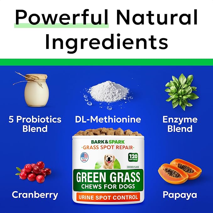 BARK&SPARK Green Grass Chews - Pee Grass Spot Saver Caused by Dog Urine - Urine Neutralizer for Lawn, Gut Health Probiotics & Digestive Enzymes,Lawn Burn from Dog Urine, Grass Burn Spot Chews (240Ct)