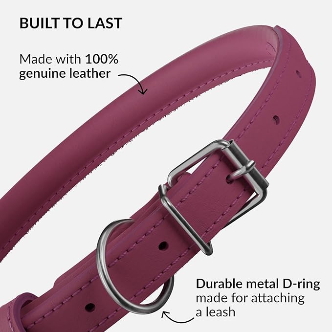 CollarDirect Rolled Leather Dog Collar, Soft Padded Round Puppy Collar, Handmade Genuine Leather Collar Dog Small Large Cat Collars 13 Colors (8-11 Inch, Pink Smooth)