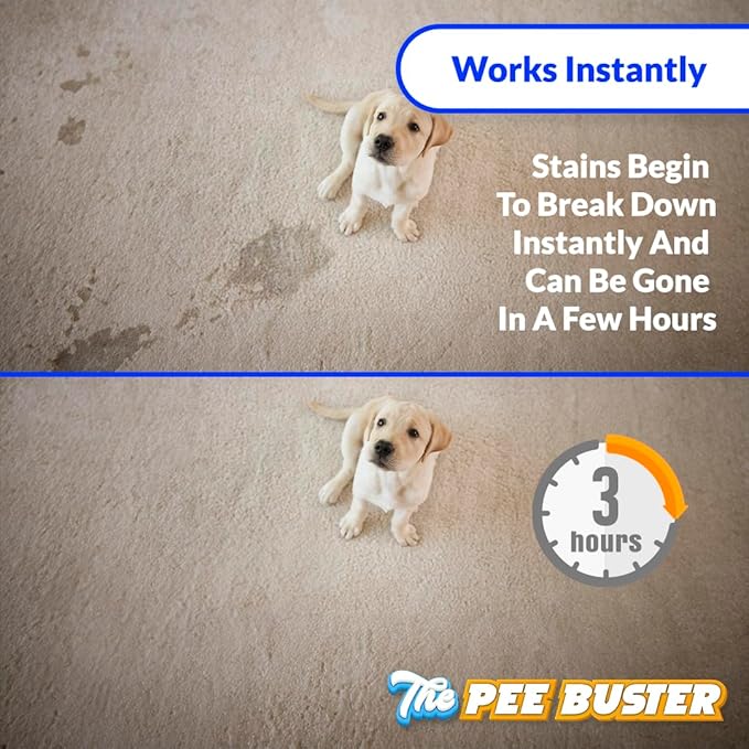 Generic Peebuster Pet Stain & Odor Remover - Cleaning Spray for Dog and Cat Urine, 1 Count (Pack of 1)