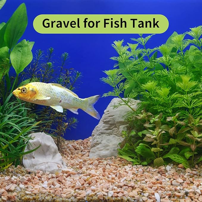 2 lb Natural Pea Gravel Small Pebbles - 3/8 Inch Pebbles for Indoor Plants, Succulents Rocks, Fish Tank Gravel, Terrarium Rocks and Patio Paver Decorative Stones