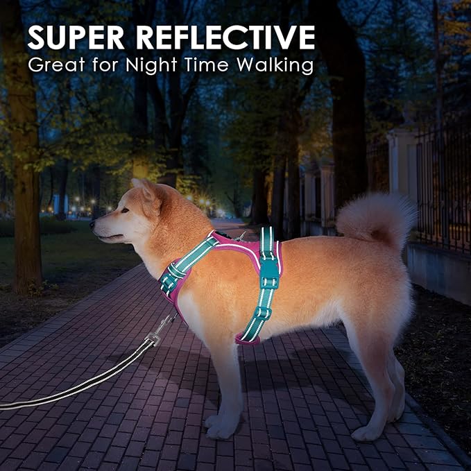 PHOEPET No Pull Dog Harness, Unique Colors Reflective Adjustable Dog Vest, with Soft Training Handle Metal Clips for Small Medium Large Dogs (Pink Base & Green Straps,M)