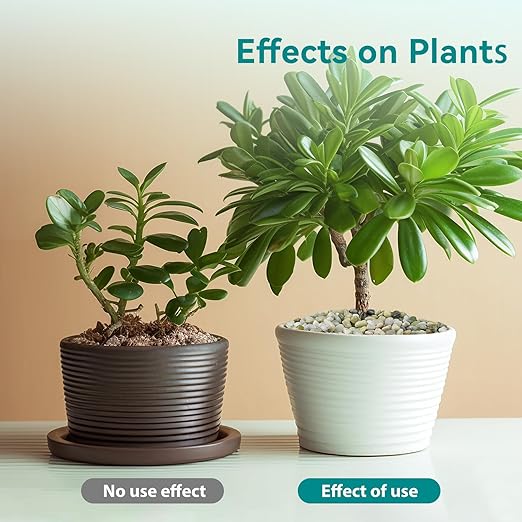 10 lbs Jade Pebbles for Indoor Plants, 3/8" Plant Rocks for Pots Indoor, Decorative Small Stones for Plants, Bamboo,Vase, Succulent, Highly Polished Small River Rocks