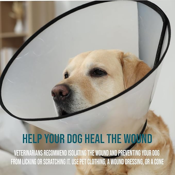 Forticept Blue Butter – Hot Spot Treatment for Dogs | Dog Wound Care | Skin Yeast Infections, Ringworm, Cuts, Rashes, First Aid Veterinary Strength Topical Ointment 4oz