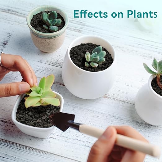 2.5lbs Small Lava Rocks for Plants Drainage, 1/5 Inch Black Gravel Mulch for House Plants, Succulent Rocks Pebbles for Planters,Cactus, Bonsai Tree, Pure Volcanic Rocks, Top-Dressing