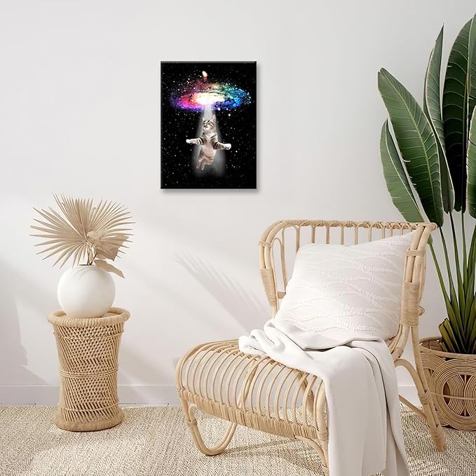 Funny Cat Wall Art Canvas Galaxy Wall Decor Prints Framed Painting Animal Pictures Gifts Artwork for Bathroom Living Dining Kitchen 16"x20"