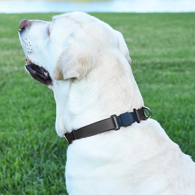 Dogline Biothane Waterproof Dog Collar with Herm Sprenger Black Stainless Steel Quick Release Buckle – Heavy Duty Tactical Durable Collar for Dogs – Comfortable and Safe Pet Collar W3/4" L12-19 Black