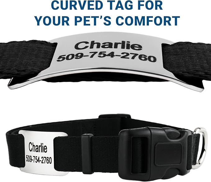 GoTags Reflective Personalized Dog Collar with Nameplate, Adjustable Dog Collar with Custom Engraved Steel Slide On Pet ID Tag, Silent, No Noise Dog Tag for Large Medium or Small (Light Blue, Small)