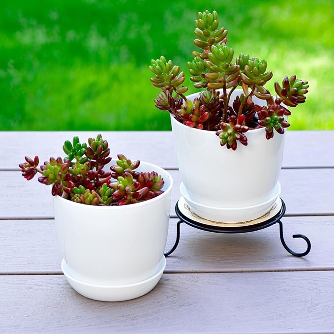 50 Pack 4 Inch Plant Pots Bulk Small Plastic Planters Pots with Drainage Holes Flower Pot for Succulent, Cactus, Herb, African Violet (50pcs-White, 4Inches)