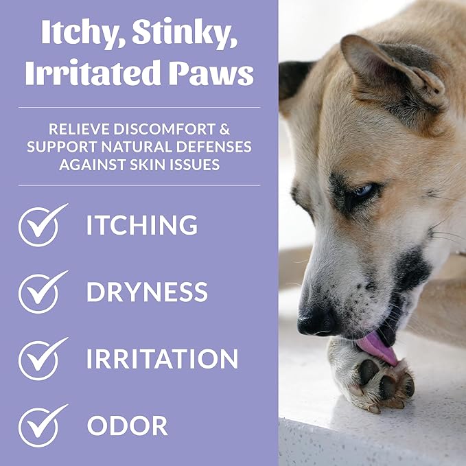 Skout's Honor Probiotic Paw Spray for Dogs - Microbiome-Friendly Certified - Alcohol-Free, Fragrance-Free & Non-Medicated - Supports Healthy Skin & Relieves Itchy, Stinky Paws, 8 oz