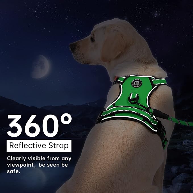 IVY&LANE No Pull Dog Harness for Small Dogs, Dog Vest Harness with Leash, Safety Belt and Storage Strap, Fully Adjustable Harness, 360° Reflective Strip, Soft Handle (Green,S)