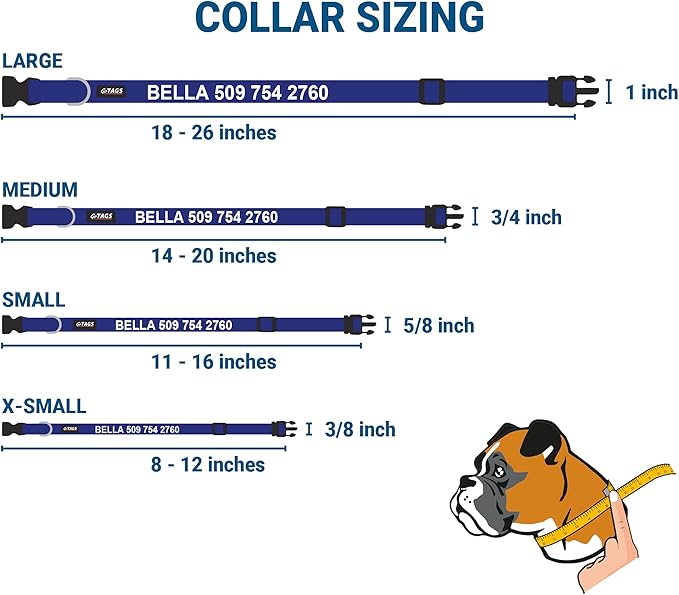 GoTags Personalized Dog Collar with Nameplate, Adjustable Dog Collar with Custom Engraved Slide On Pet ID Tag in Stainless Steel, Silent, No Noise Dog Tag for Large Medium and Small (Blue, Small)