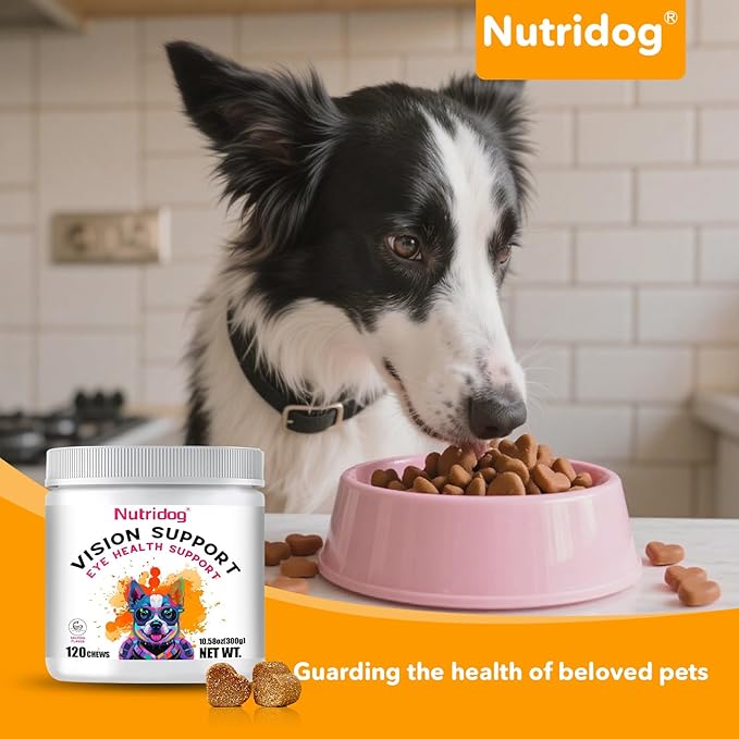 Eye Supplements for Dogs - Vision Support Soft Chews with Lutein, DHA & Vitamin C | 120ct Salmon Flavor Tear Stain Chews | Cataract & Dry Eye Relief Supplement (120 Ct, Salmon)