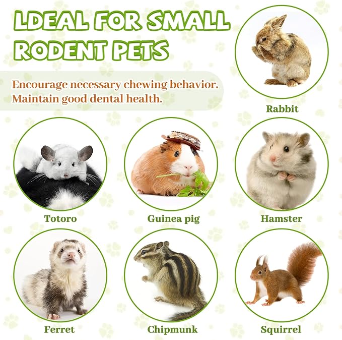 2lb Natural Sweet Bamboo Chew Toys for Small Pets - Organic Molar Sticks with Xylose & Vitamins for Rabbit, Guinea Pig, Hamster - Dental Care & Chewing Entertainment