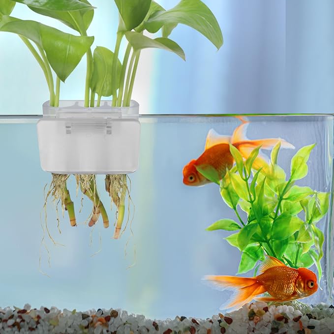 3 Holes Upgraded Aquatic Plant Cup Aquarium Plant Holder for Tank,Hanging Aquarium Plant Holder,Aquarium Aquatic Plant Cultivation,Aquarium Plant Decoration. (White 2PCS)