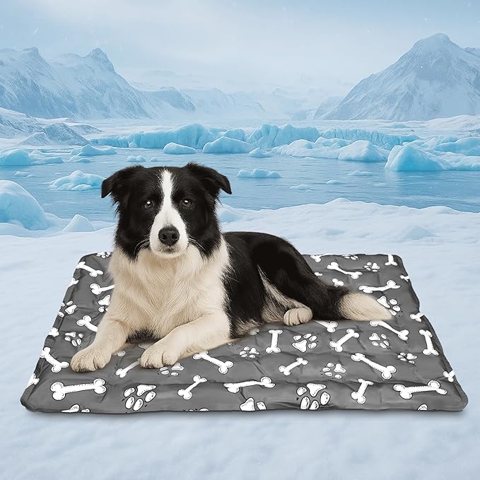 Cooling Pad for Dog,Instant Pet Cool Mat for Puppy,Comfortable Cool Pet Mat for Cat.Portable Dog Bed for Summer. Suitable for Outdoor Summer Crate Pad.Long Time Cooling.Bone(Size-M 15.7 * 19.7in)