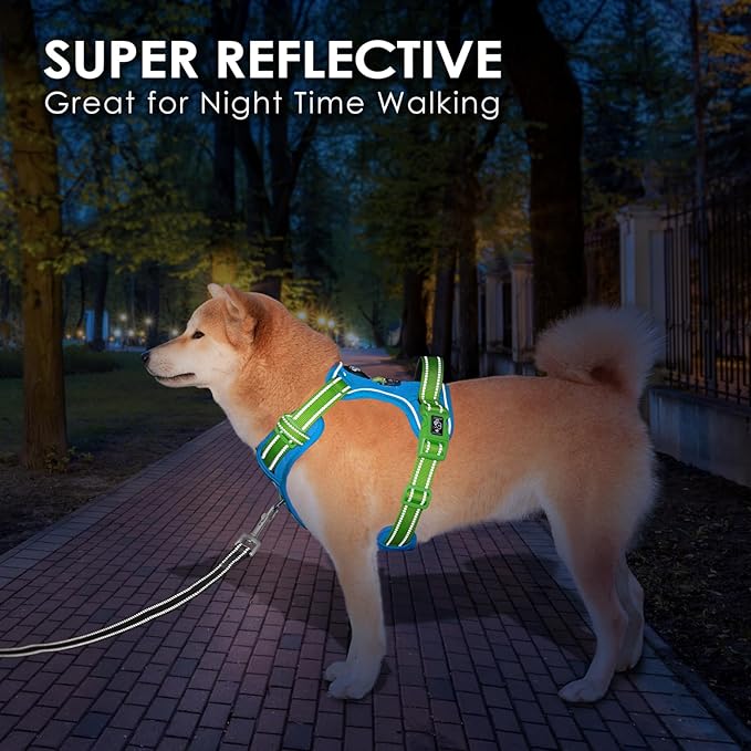 PHOEPET No Pull Dog Harness, Unique Colors Reflective Adjustable Dog Vest, with Soft Training Handle Metal Clips for Small Medium Large Dogs (Blue Base & Green Straps,S)