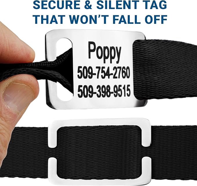 GoTags Reflective Personalized Dog Collar with Nameplate, Adjustable Dog Collar with Custom Engraved Steel Slide On Pet ID Tag, Silent, No Noise Dog Tag for Large Medium or Small (Beige, Medium)