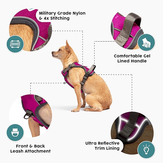 Embark Adventure Dog Harness, Reflective Trim No Pull Dog Harnesses for Small Sized Dogs - Military Grade Nylon, Front Clip with Gel Lined Handle.
