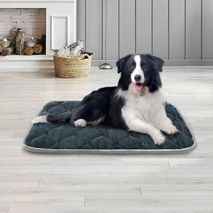 furrybaby Dog Bed Mat Flat Crate Mat with Anti-Slip Bottom Machine Washable Pet Kennel Pad for Dog Sleeping (XS 22x13'', Grey Mat)