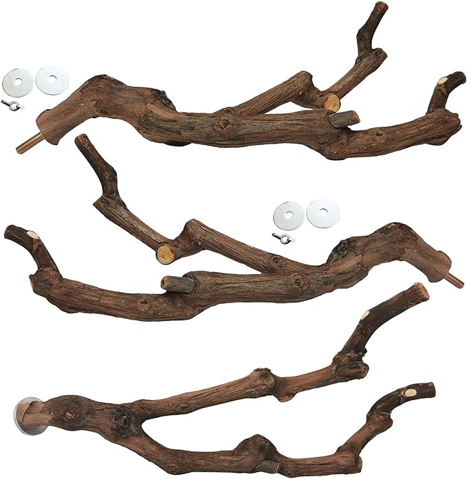 kathson Natural Parrot Perch Bird Stand Pole Wild Grape Stick Paw Grinding Fork Parakeet Climbing Standing Branches Toy Chewable Cage Accessories for Small Budgies Cockatiels Lovebirds 3PCS