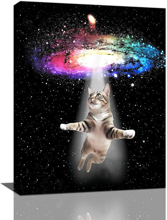 Funny Cat Wall Art Canvas Galaxy Wall Decor Prints Framed Painting Animal Pictures Gifts Artwork for Bathroom Living Dining Kitchen 16"x20"