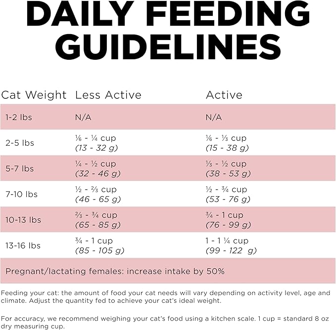 Go! Solutions Sensitivities Limited Ingredient, Grain-Free Dry Cat Food, Salmon Recipe for Sensitive Stomach, 6 lb Bag