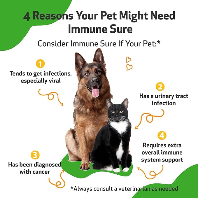 Pet Wellbeing Immune Sure for Dogs - Supports Normal Immune Defenses, Gut Flora Balance, Andrographis, Echinacea, Vitamin C, Zinc - Veterinarian-Formulated Herbal Supplement 4 oz (118 ml)